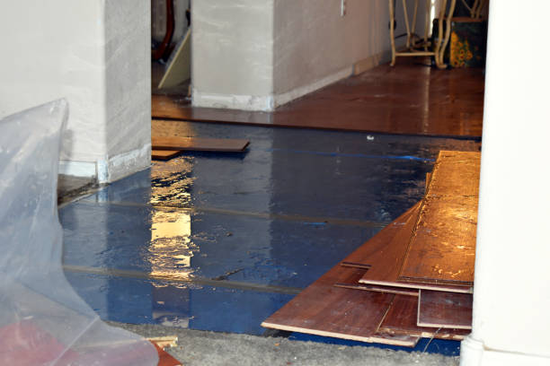 Professional Basement Flood Cleanup technician working in Franklin Park, FL